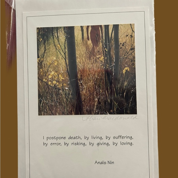 2 Photo cards - Picture 2 of 4